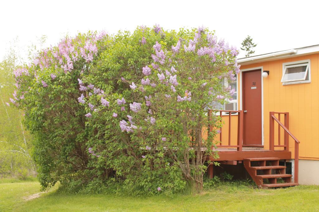 Acadia Gateway Motel Trenton Rom bilde